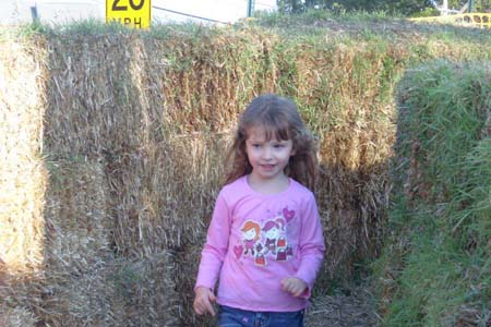 libby3-183